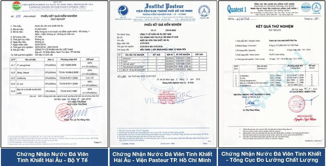 Chứng nhận nước đá viên tinh khiết Hải Âu