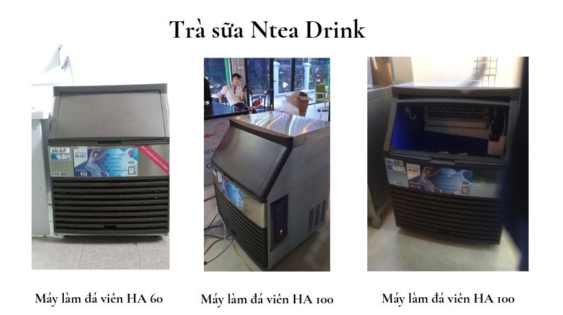 Trà sữa Ntea Drink đang sử dụng các model máy làm đá HA 60, HA 100