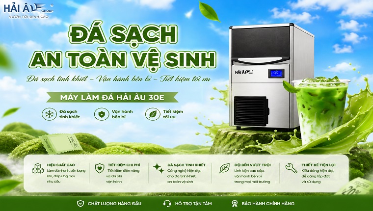 Máy Làm Đá Hải Âu 30E